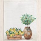 Mediterrán citromos pamut konyharuha szett, 2 db-os, 50 x 70 cm