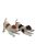 Jack Russel kutya polyresin szobor, barna, kültéri és beltéri dekorációs kiegészítő