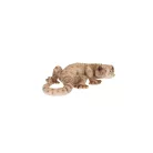 Gyík polyresin szobor, dekoráció, 16 x 8 x 3 cm