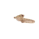 Gyík polyresin szobor, dekoráció, 16 x 8 x 3 cm