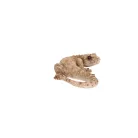 Gyík polyresin szobor, dekoráció, 16 x 8 x 3 cm