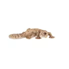 Gyík polyresin szobor, dekoráció, 16 x 8 x 3 cm