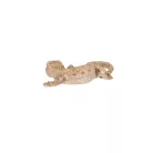 Gyík polyresin szobor, dekoráció, 16 x 8 x 3 cm