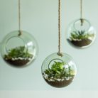 Felakasztható virágtartó üveggömb, 15 cm átmérőjű
