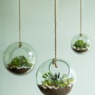 Felakasztható virágtartó üveggömb, 20 cm átmérőjű