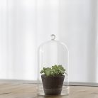 Dekorációs üveg búra, alappal, 12,8 cm átmérőjű