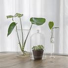 Dekorációs üveg búra, alappal, 12,8 cm átmérőjű