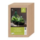 Florárium eszközökkel, 5 literes