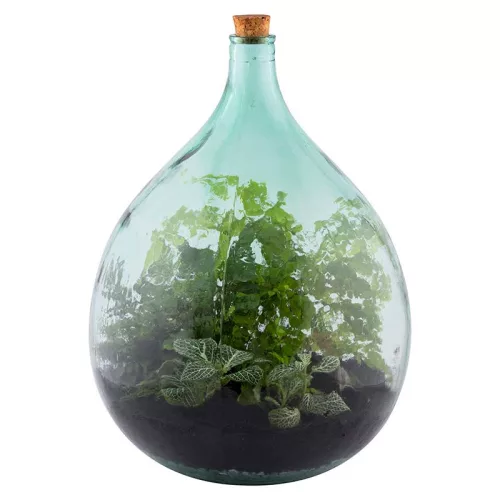 Florárium eszközökkel, 35 literes