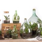 Henger alakú florárium parafa tetővel, 5 literes