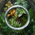 Henger alakú florárium parafa tetővel, 8,3 literes