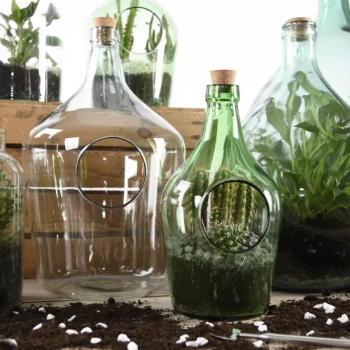 Nyitott florárium, 10 literes