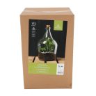 Nyitott florárium, 15 literes