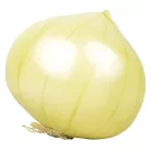 Hagyma műzöldség élethű dekoráció