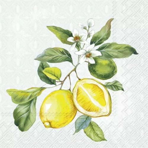 Citrom mintás 3 rétegű szalvéta, 12,5 x 12,5 cm