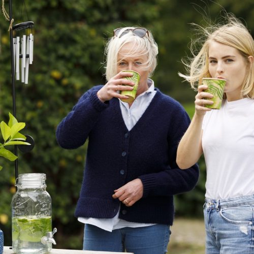Limonádés üveg csatos tetővel, 3,5 literes