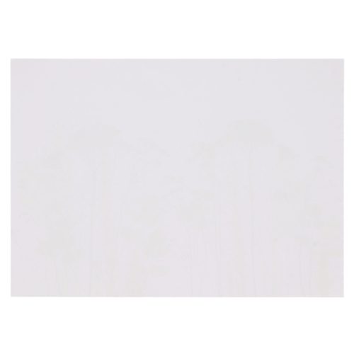 Mezei virág mintás papír tányéralátét, 40 db-os