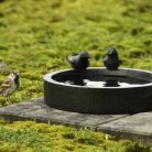 Terrazzo madáretető és itató tál, kerek