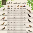 Kombinált vödrös madáreleség, 3 kg