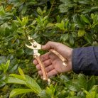 Rozsdamentes acél metszőolló, kőrisfa nyéllel, arany színű, 20 cm