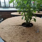 Juta növényvédő korong, 25 cm átmérőjű