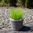 Fagyvédő juta tekercs, zöld, 50 x 150 cm