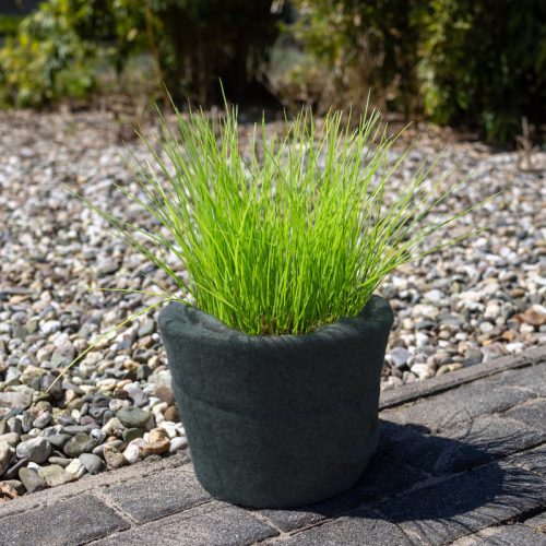 Fagyvédő juta tekercs, zöld, 50 x 150 cm