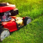 Instantgyep, kiváló minőségű fűmagkeverék és gyepindító biokomposzt, 10 literes
