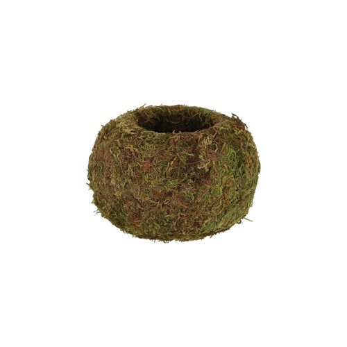 Kokedáma japán mohagömb, virágtartó, 14 cm