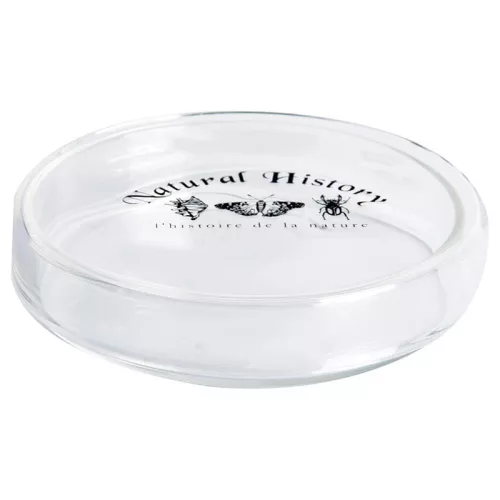 Petri csésze, 120 ml