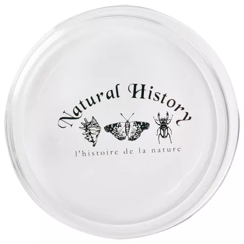 Petri csésze, 120 ml