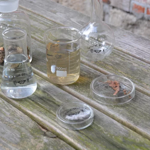 Petri csésze, 120 ml