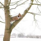 Fa bagoly odú, cink tetővel, 81 x 52 cm