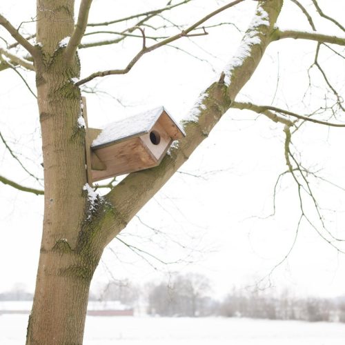 Fa bagoly odú, cink tetővel, 81 x 52 cm