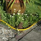 Békás öntöttvas locsolótömlő vezető, 33 cm