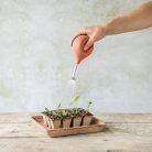 Pumpás növény öntöző, palánta permetező, 0,24 literes, terrakotta