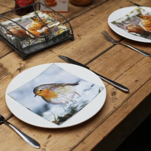 Madaras és mókusos szalvéta