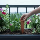Virágföldbe szúrható kerámia vízadagoló, 17,5 cm