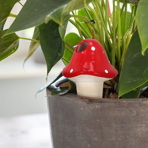 Terrakotta vízadagoló, növénycsepegtető, virágföldbe szúrható, légyölő galócás