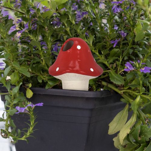 Terrakotta vízadagoló, növénycsepegtető, virágföldbe szúrható, légyölő galócás