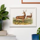 Szarvasok művészi nyomat, print A4