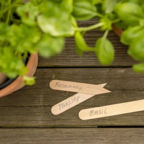 Növény és palánta jelölők