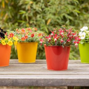 Természet színei kollekció