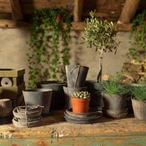 Terrakotta kollekció