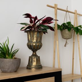 Aged metal kollekció