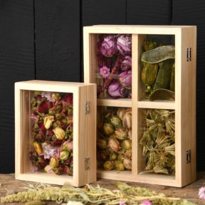 Virág- és növényszárítás